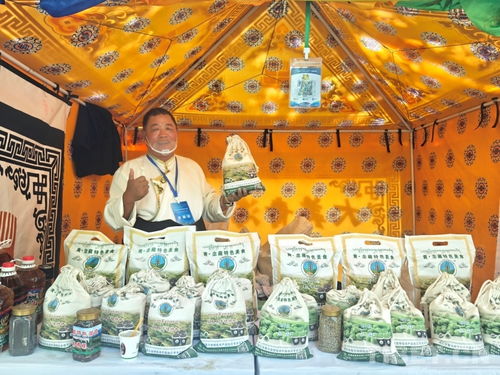 熱貢文化耀拉薩，青藏攜手譜新篇——熱貢文化推介會暨文藝演出在拉薩成功舉辦